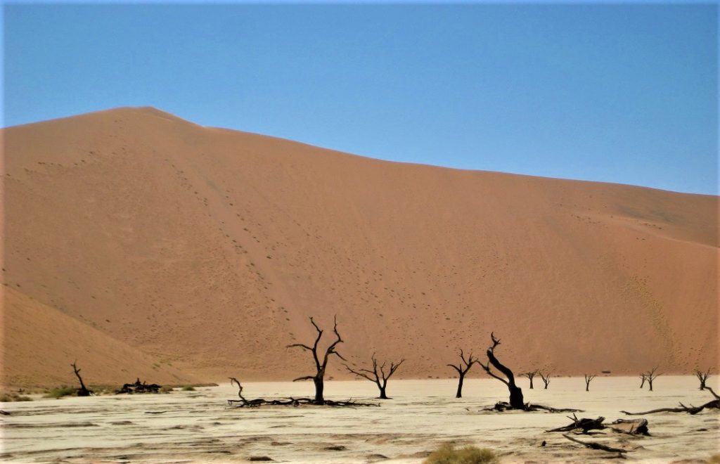Reiseblogg, Namibia