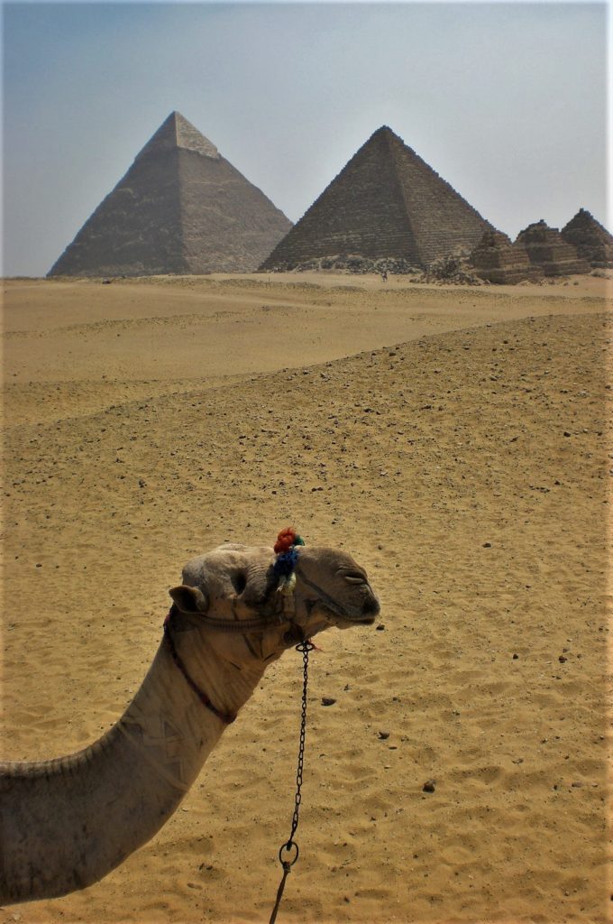 Reiseblogg, Egypt