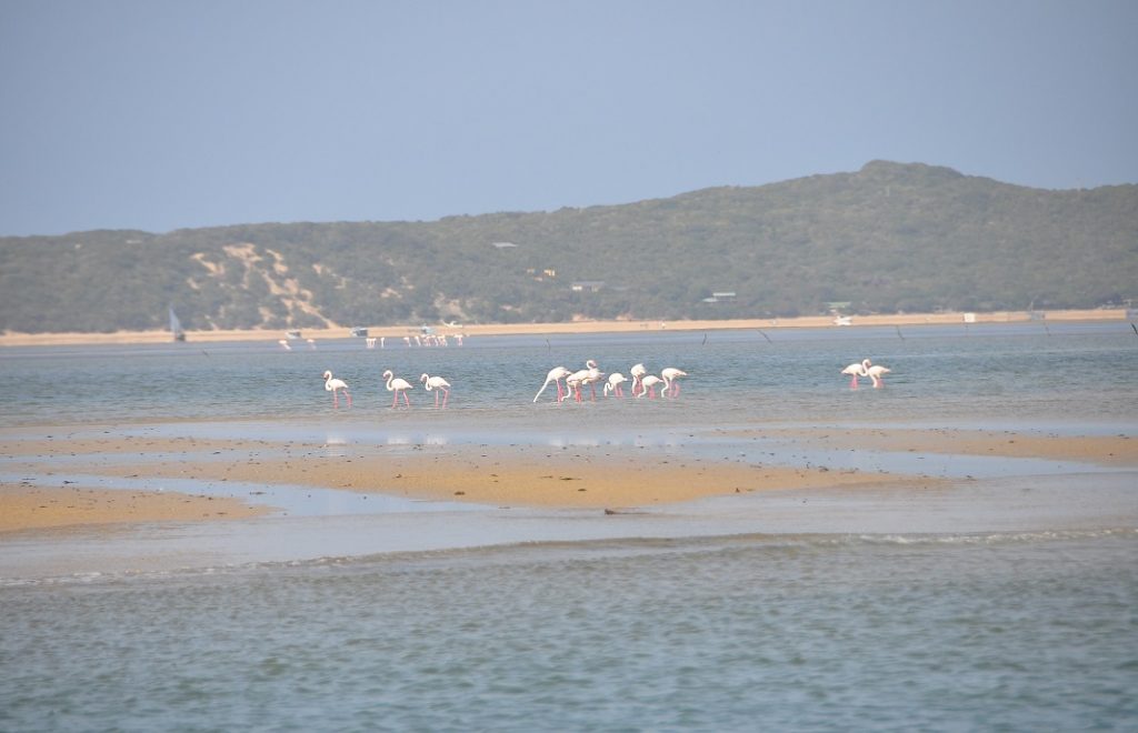Reiseblogg, Mosambik