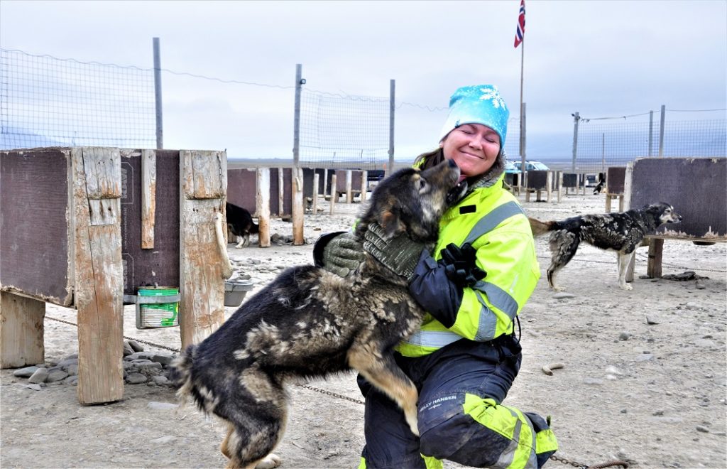 Reiseblogg, Svalbard, Norge, hundejøring, Unike Reiser