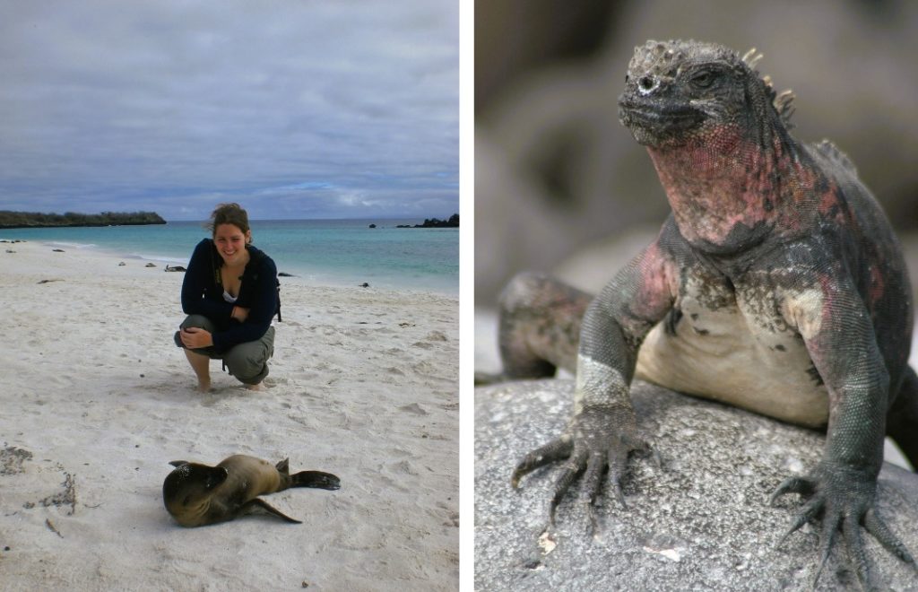 Reiseblogg, Galapagosøyene, dyr, Unike Reiser