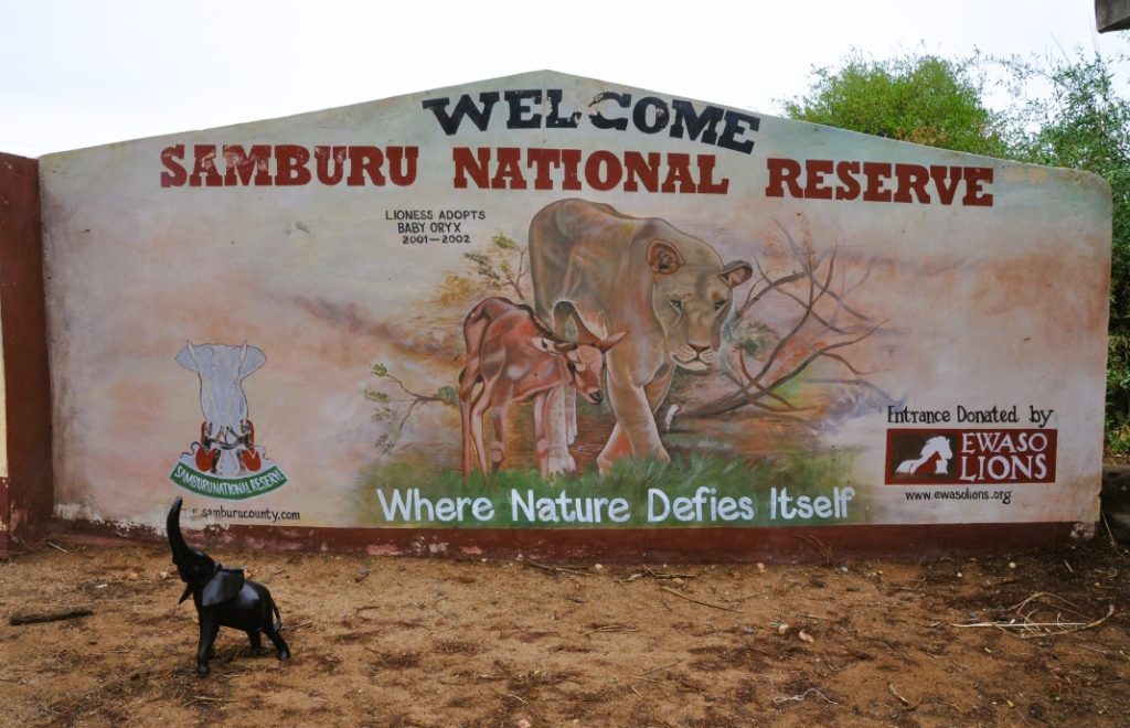 Reiseblogg, Kenya, Samburu, safari, Afrika, Unike Reiser