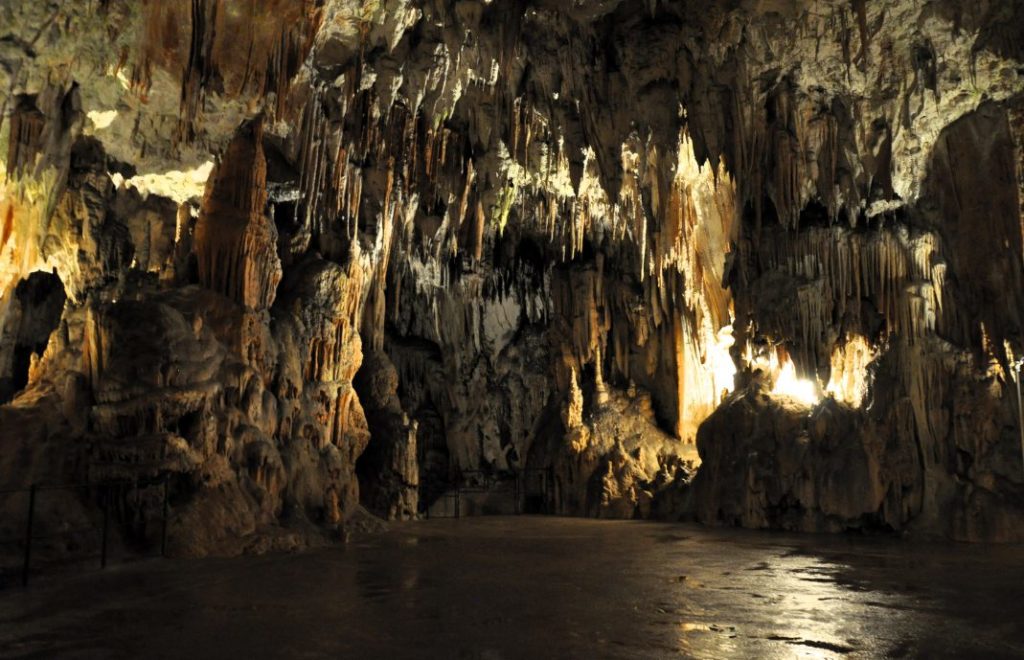 Reiseblogg, Slovenia, Postonja Cave, Unike Reiser