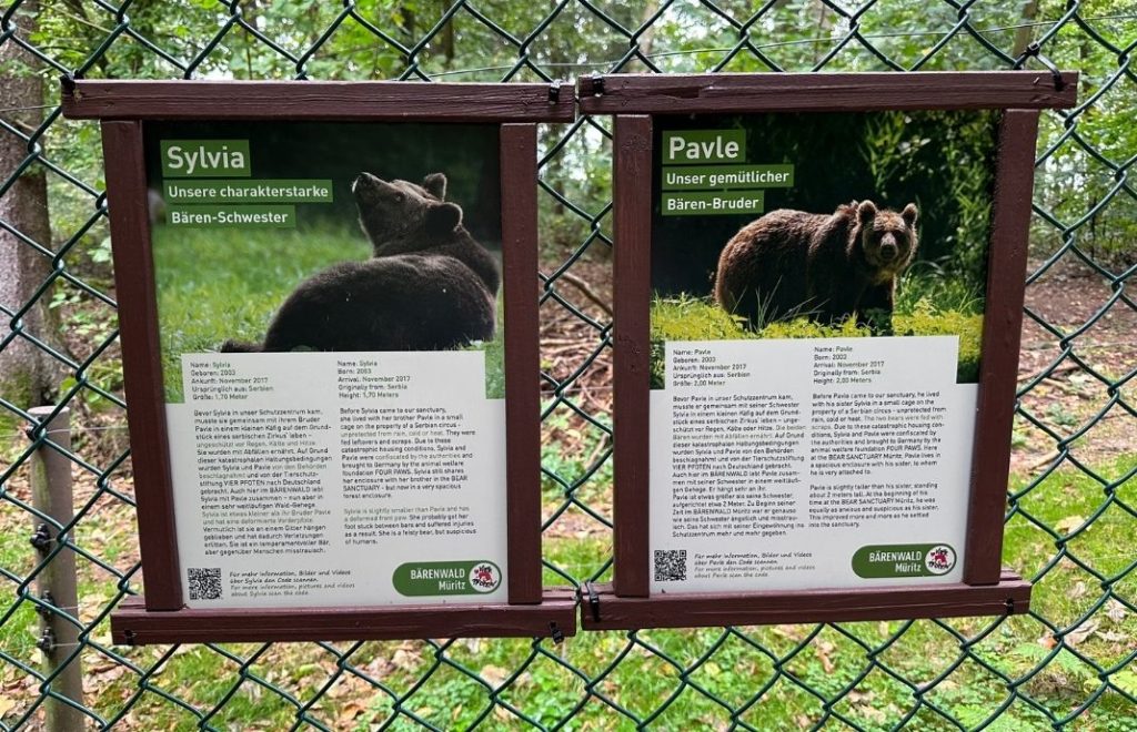 Reiseblogg, Tyskland, Bärenwald Müritz, Bear Sanctuary, Unike Reiser