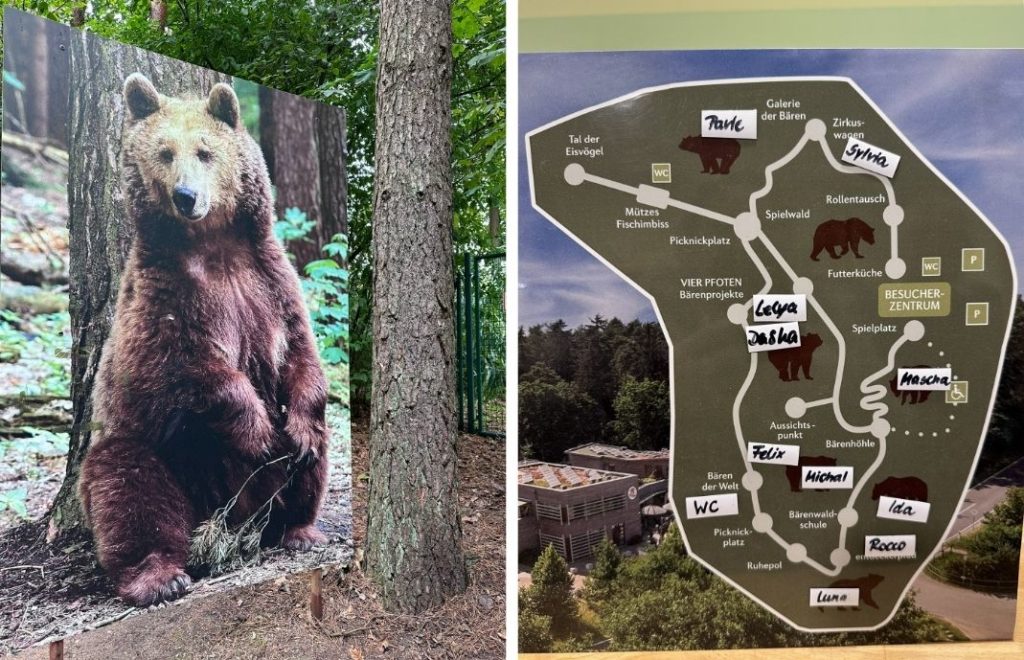 Reiseblogg, Tyskland, Bärenwald Müritz, Bear Sanctuary, Unike Reiser